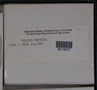 Image Associated With the Occurence